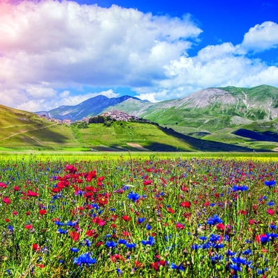 Calendar cu imagini Landscapes, 31.5 x 48 cm, 12 file, 2026